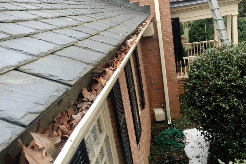 Rain Gutter Cleaning in Snoqualmie, WA